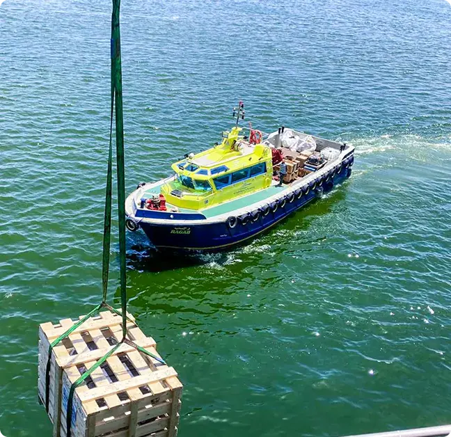 Golden Ocean Operations