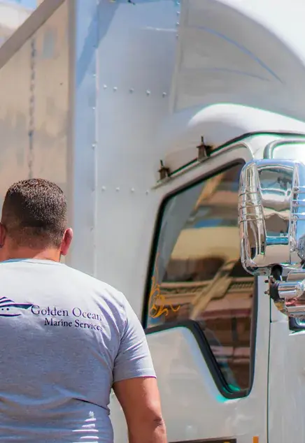 Golden Ocean project 03