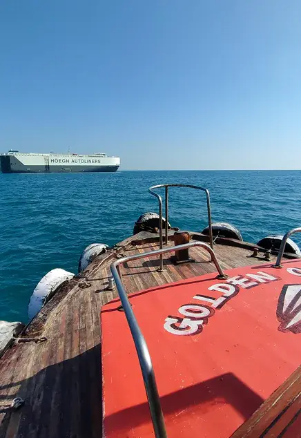 Golden Ocean project 05